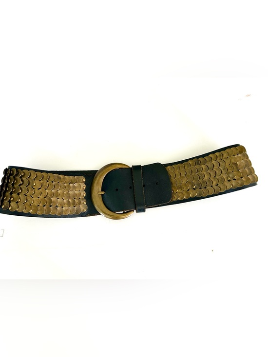 Carlisle Black Belt w/Antique Brass Discs Wide Statement Piece RARE Vintage EUC